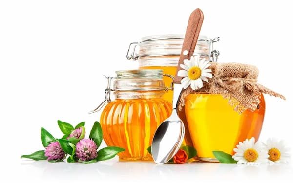 تصویر 4 از قیمت عسل طبیعی کوهی با کیفیت ارزان + خرید عمده